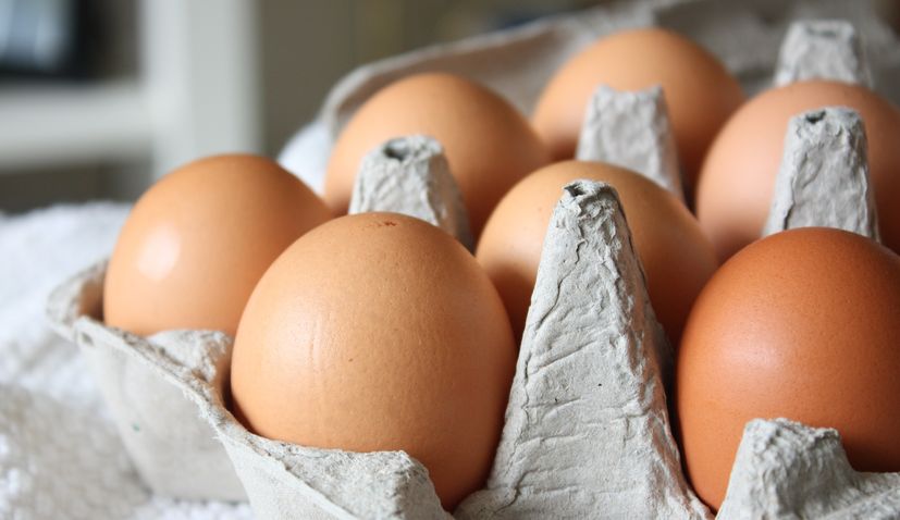 First consumer eggs receive "Proven quality - Croatia" designation