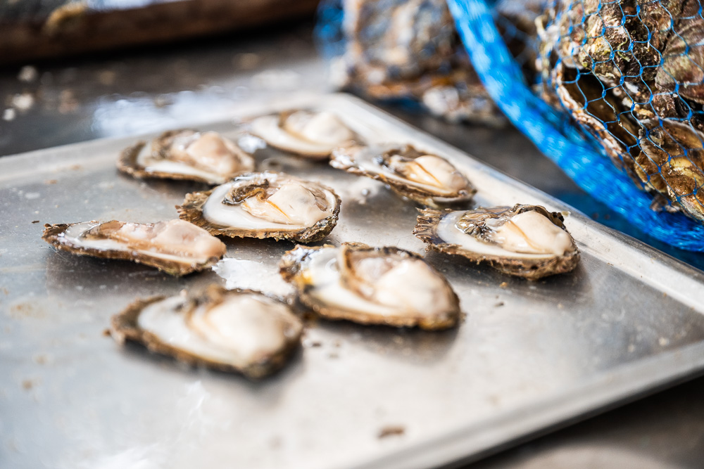 Limski Kanal oysters